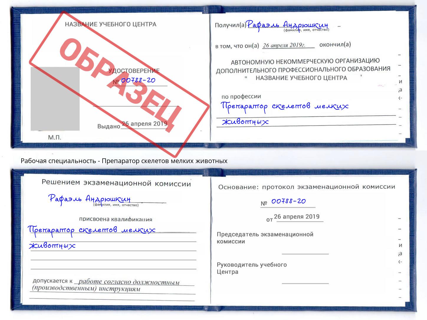 Препаратор скелетов мелких животных Мурманск
