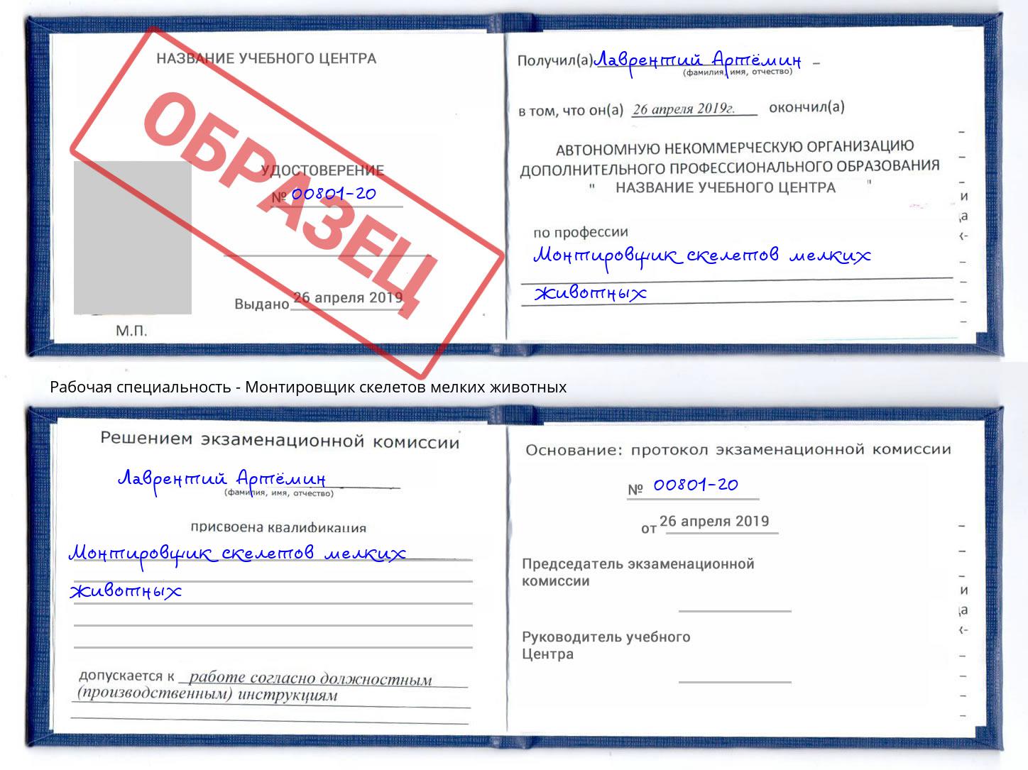 Монтировщик скелетов мелких животных Мурманск
