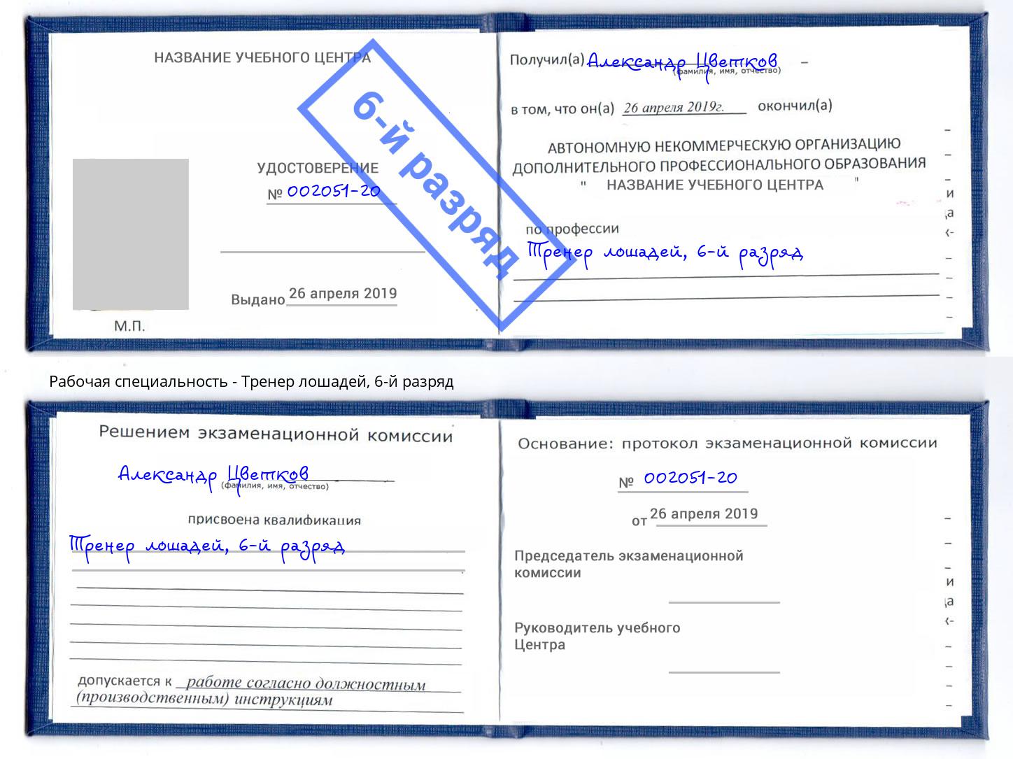 корочка 6-й разряд Тренер лошадей Мурманск