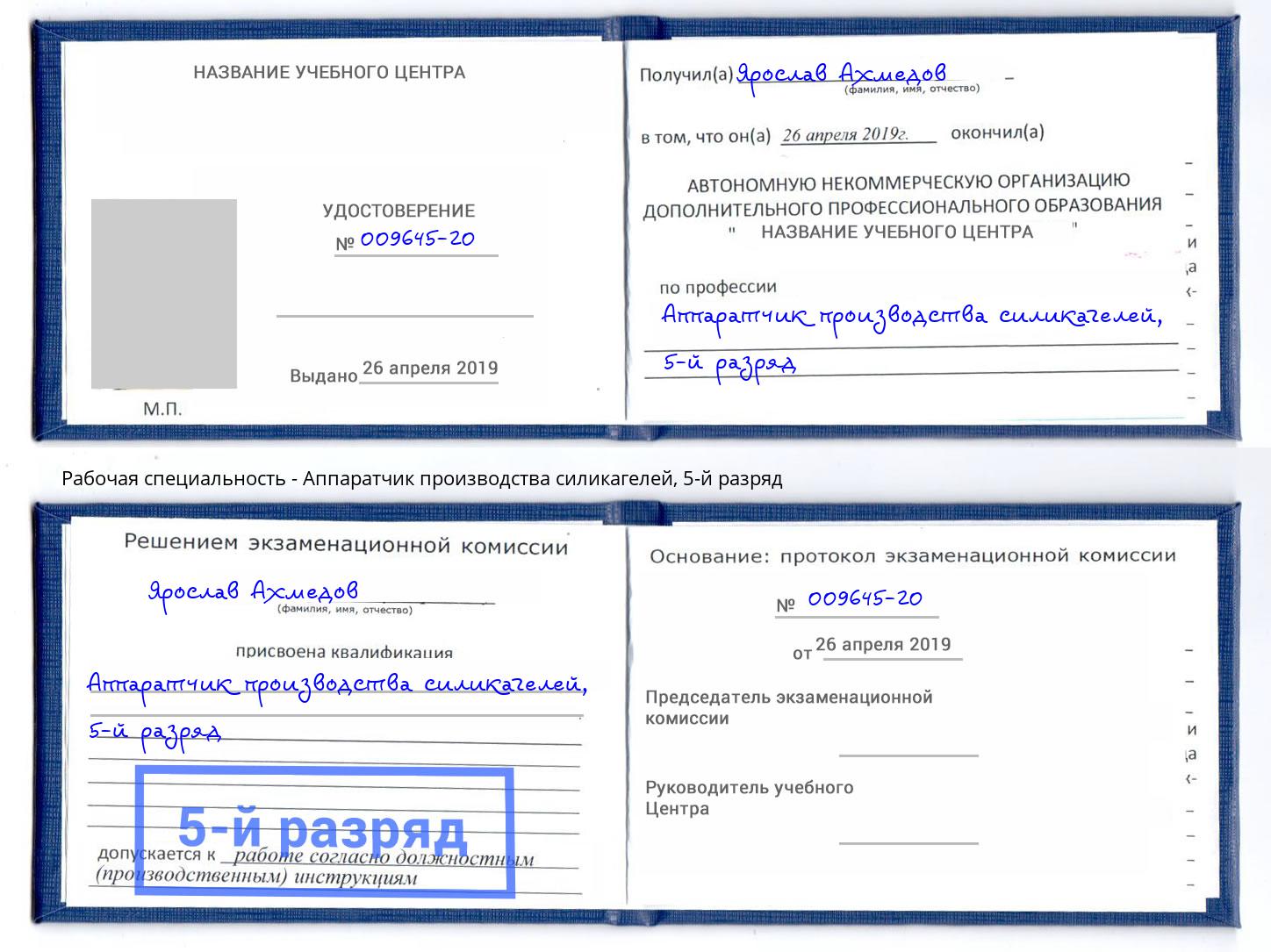 корочка 5-й разряд Аппаратчик производства силикагелей Мурманск