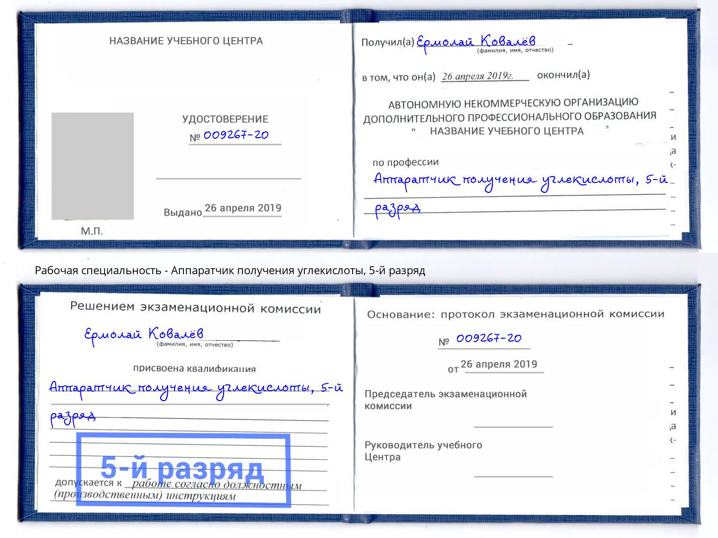 корочка 5-й разряд Аппаратчик получения углекислоты Мурманск